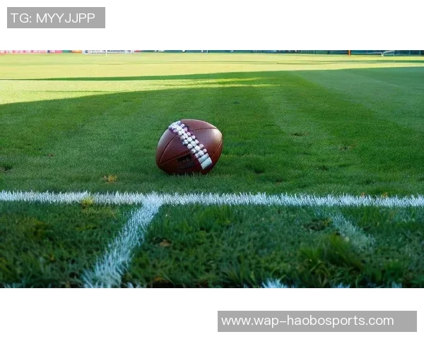 足球元素笔的创意设计与实用性探讨让书写与运动激情完美结合