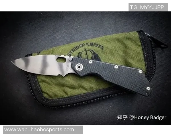 重庆极限运动队战术深度解析与对比研究